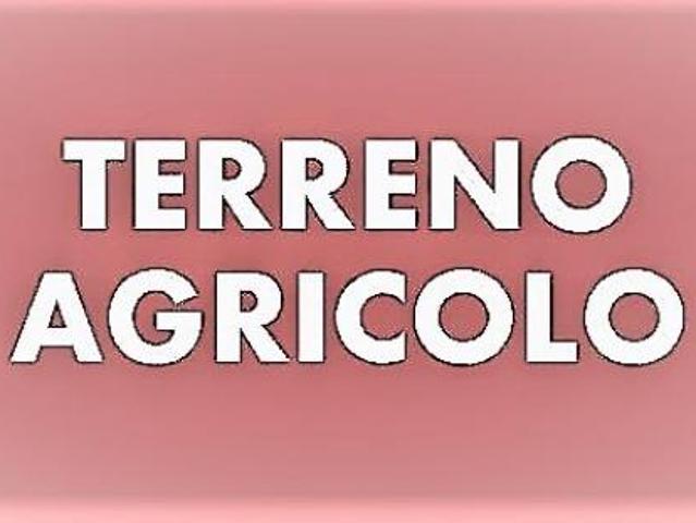 Terreno agricolo in vendita a Ronchi Massa 2380 mq Rif: 1023226