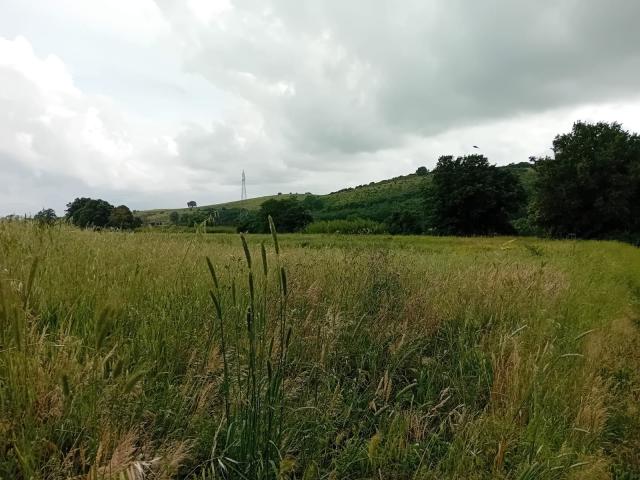 TERRENO AGRICOLO in VENDITA a ROCCASTRADA RIBOLLA