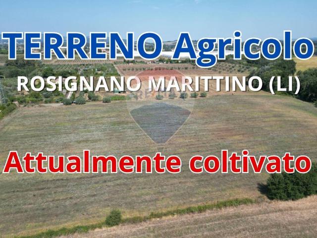Terreno agricolo in vendita a Rosignano Marittimo