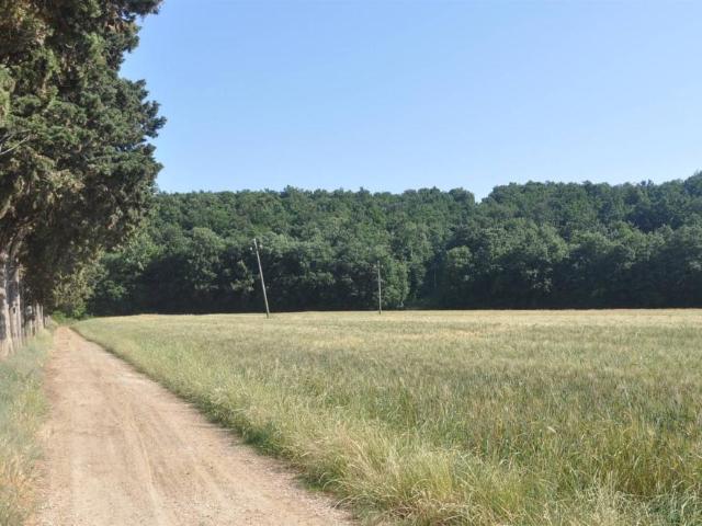 Terreno agricolo in vendita a Rosignano Marittimo