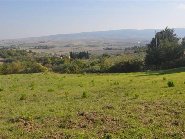Terreno agricolo in vendita a Rosignano Marittimo