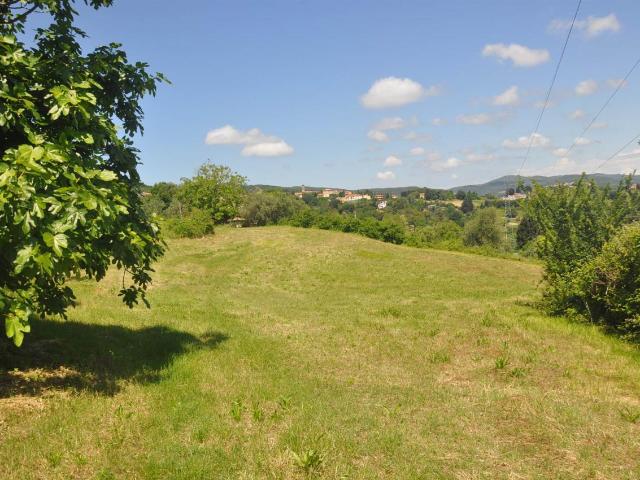 Terreno agricolo in vendita a Rosignano Marittimo