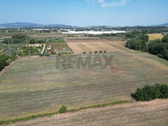 Terreno agricolo in vendita a Rosignano Marittimo