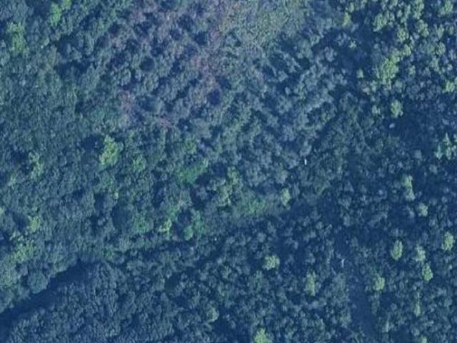 Terreno Agricolo in vendita a Rosignano Marittimo