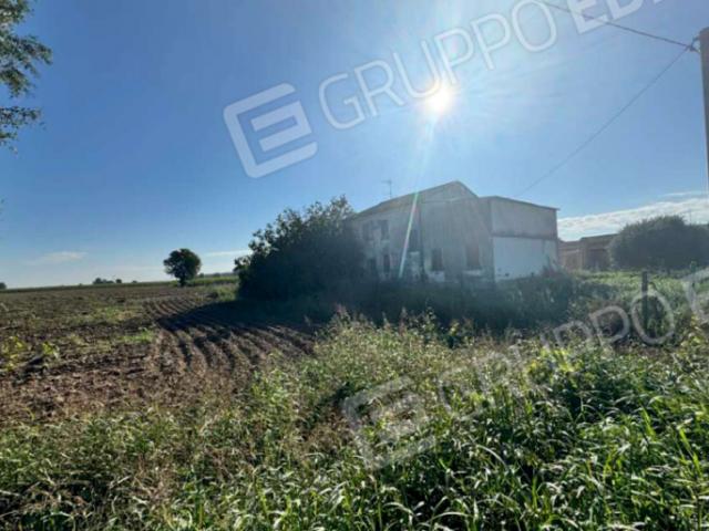 Terreno agricolo in Vendita a Roverchiara