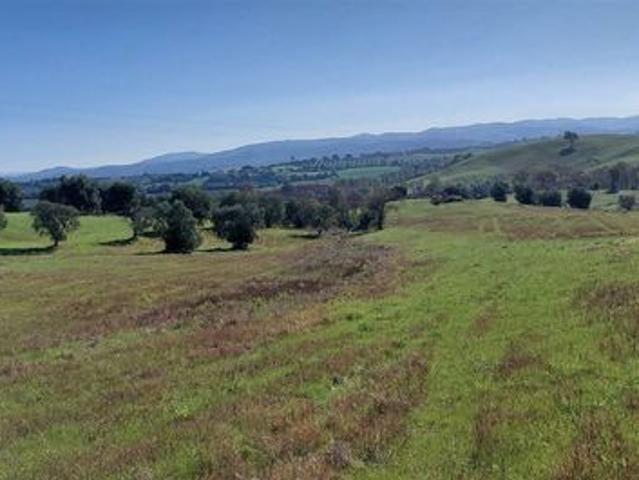TERRENO AGRICOLO in VENDITA a SCANSANO