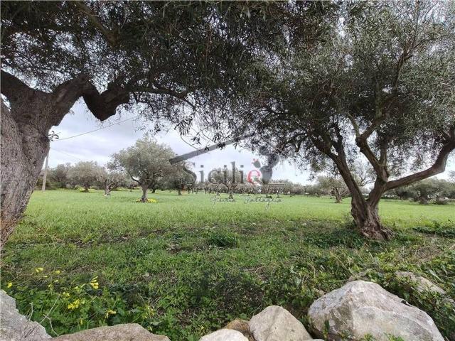 Terreno agricolo in vendita a Scicli