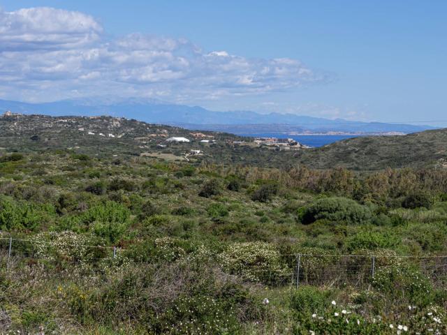 Terreno Agricolo in vendita a Santa Teresa Gallura