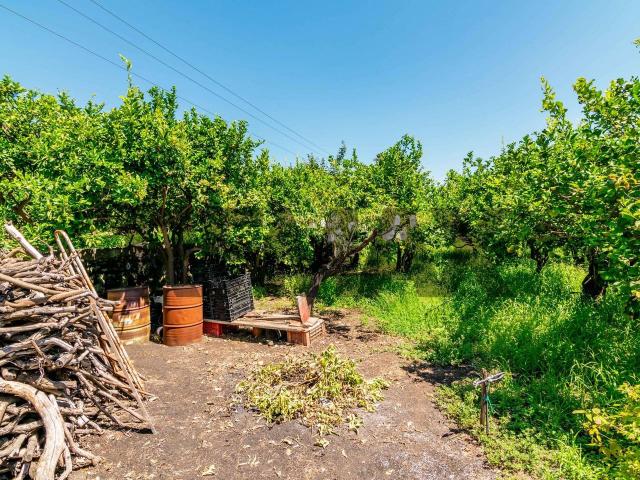 Terreno agricolo in vendita a Santa Venerina