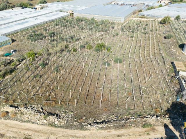 Terreno agricolo in vendita a Santa Croce Camerina