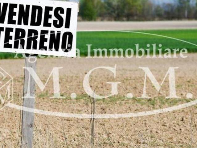 Terreno agricolo in Vendita a Santa Croce sull'Arno