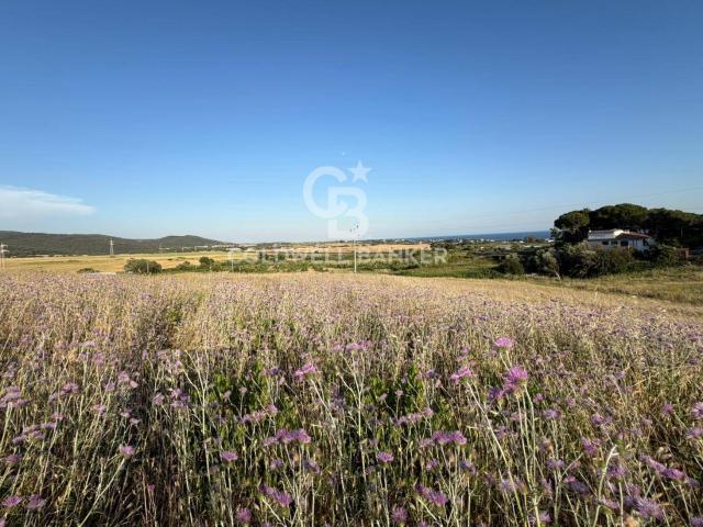 Terreno agricolo in vendita a Santa Marinella, Aurelia Vecchia/Quartaccia