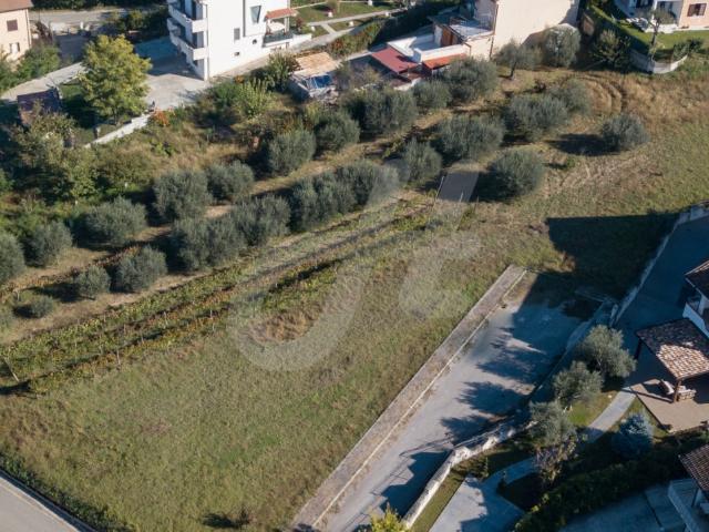 TERRENO AGRICOLO in VENDITA a SANT'ANGELO A CUPOLO