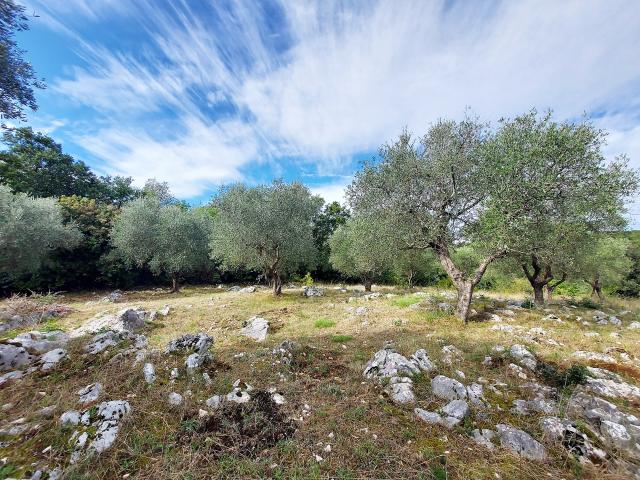 Terreno agricolo in vendita a Sant'Angelo Romano