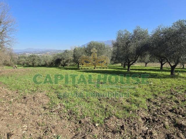 Terreno agricolo in vendita a Sant'Agata De' Goti