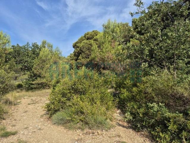 Terreno agricolo in vendita a San Bartolomeo Al Mare