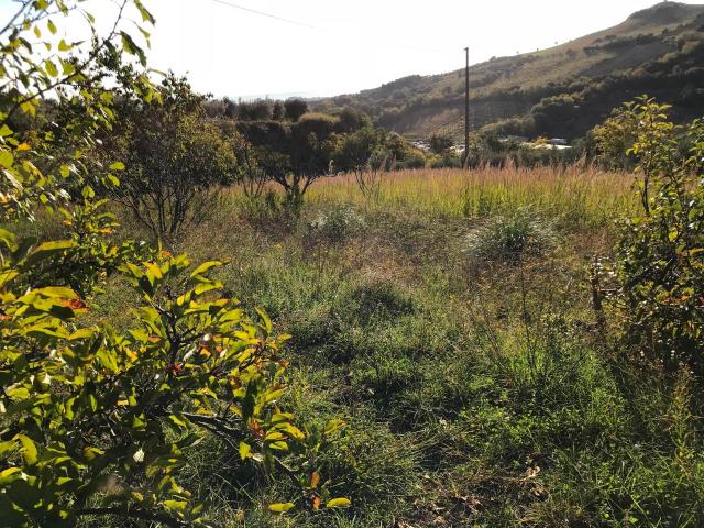 Terreno agricolo in vendita a San Benedetto Del Tronto