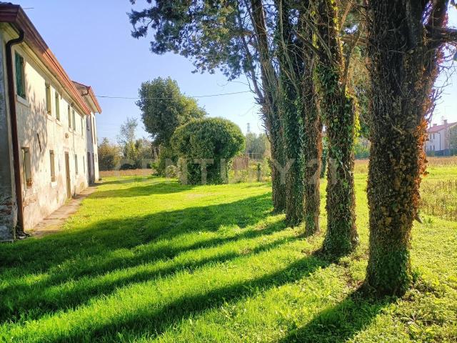 Terreno agricolo in vendita a San Biagio Di Callalta