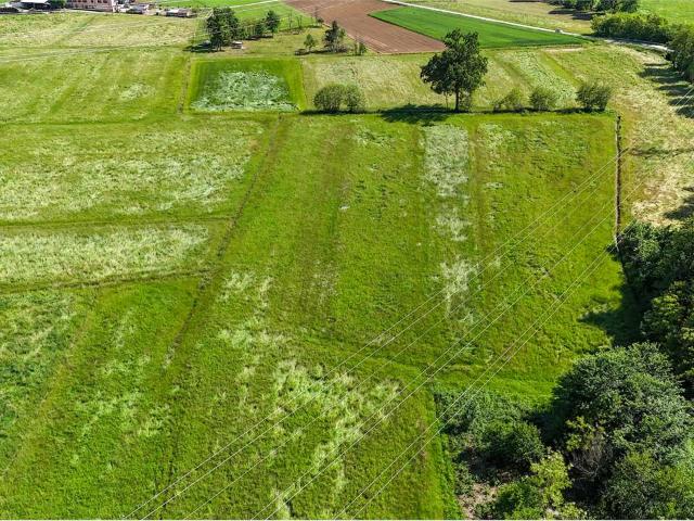 Terreno agricolo in Vendita a San Giorgio Canavese