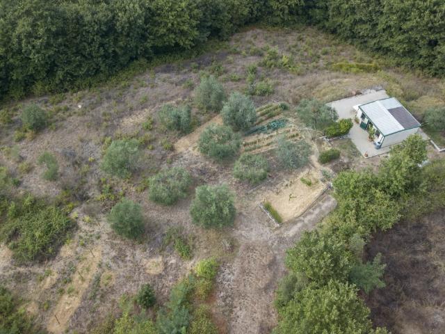 TERRENO AGRICOLO in VENDITA a SAN GIORGIO DEL SANNIO