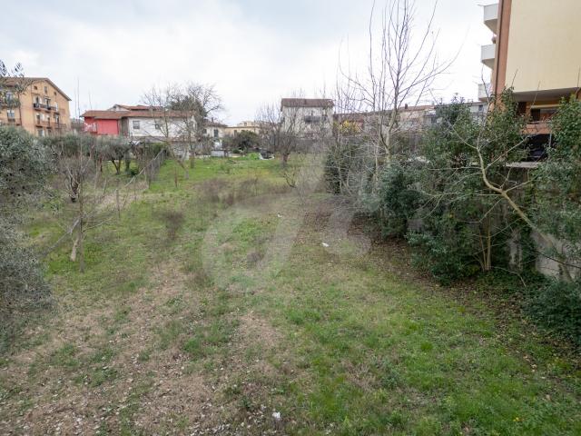TERRENO AGRICOLO in VENDITA a SAN GIORGIO DEL SANNIO