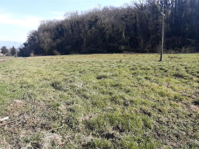 Terreno agricolo in Vendita a San Giovanni Valdarno