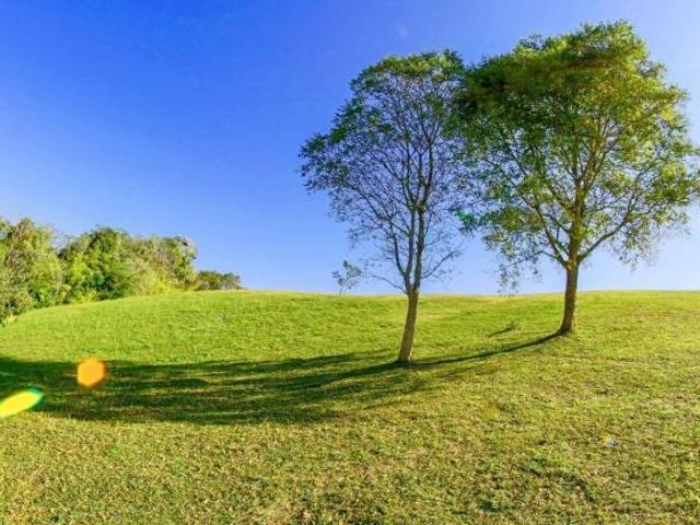 Terreno agricolo in vendita a San Donato Santa Maria a Monte 6500 mq Rif: 1344952