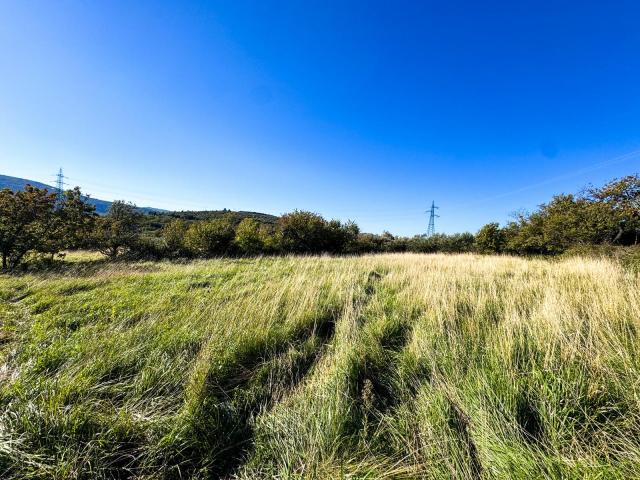 TERRENO AGRICOLO in VENDITA a SAN DORLIGO DELLA VALLE