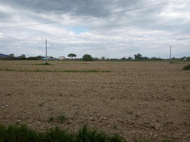 Terreno agricolo in vendita a San Lorenzo a Pagnatico Cascina 7370 mq Rif: 1083638