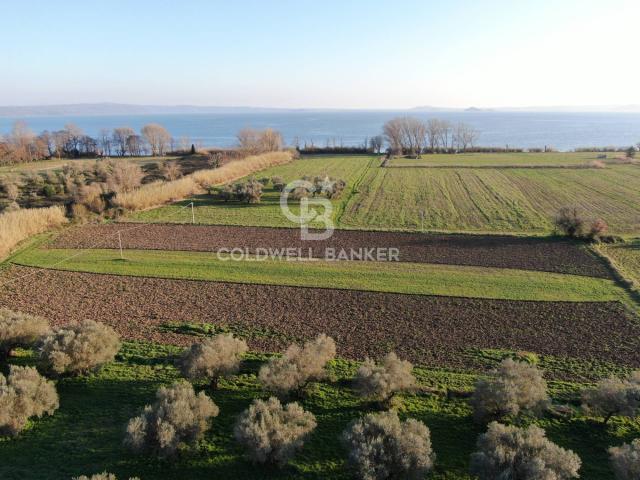 Terreno agricolo in vendita a San Lorenzo Nuovo