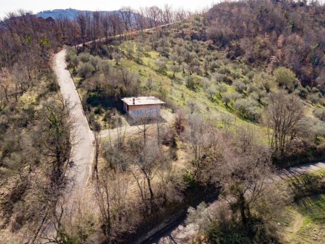 TERRENO AGRICOLO in VENDITA a SAN MARTINO SANNITA