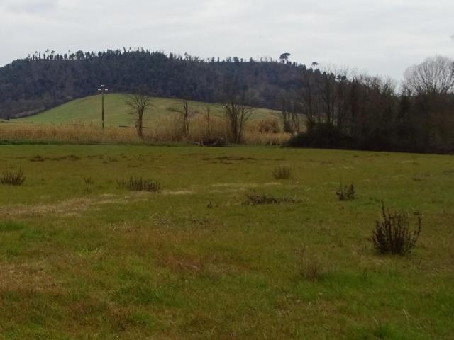 Terreno agricolo in Vendita a San Miniato