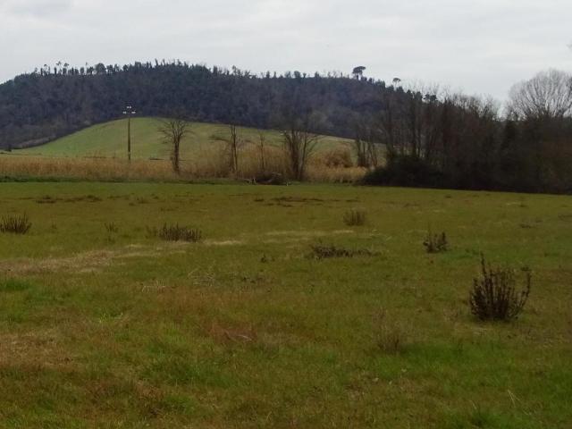 Terreno agricolo in vendita a San Miniato
