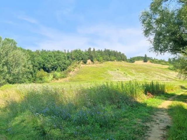 Terreno agricolo in vendita a San Miniato 80000 mq Rif: 1343616