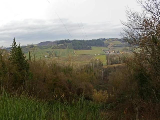 Terreno agricolo in vendita a San Miniato