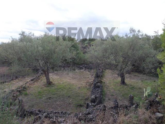 Terreno agricolo in vendita a San Pietro Clarenza