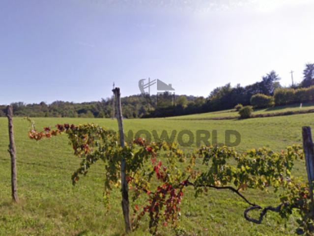 Terreno agricolo in Vendita a San Vito di Leguzzano