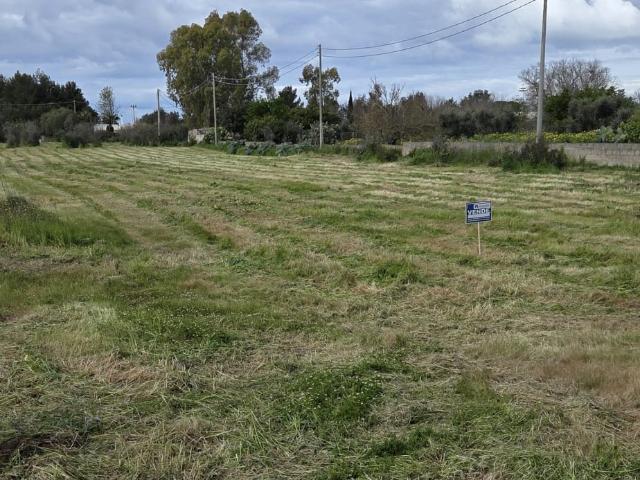 Terreno Agricolo in vendita a Sannicola
