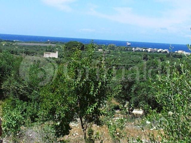 Terreno agricolo in vendita a Sannicola