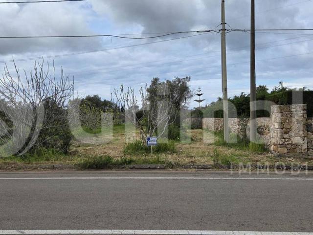 Terreno agricolo in vendita a Sannicola