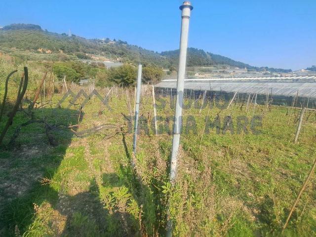 Terreno agricolo in vendita a Sanremo