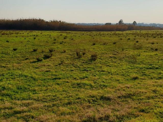 Terreno Agricolo in vendita a Salerno