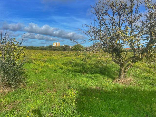 Terreno agricolo in Vendita a Sassari