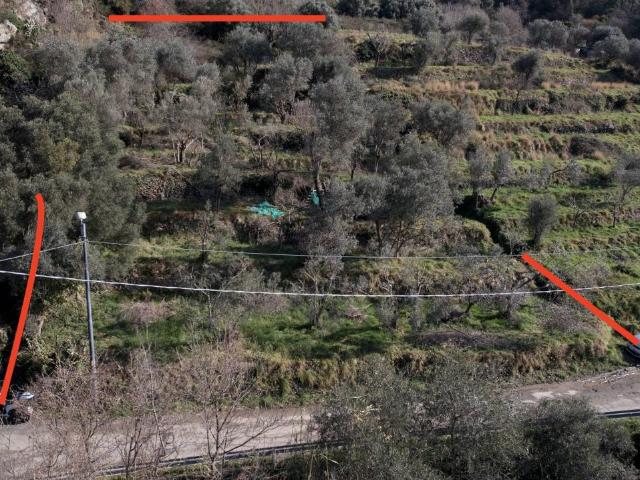 Terreno agricolo in vendita a Savona