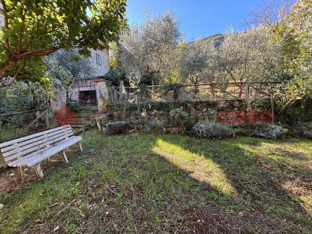 Terreno agricolo in vendita a Sgurgola