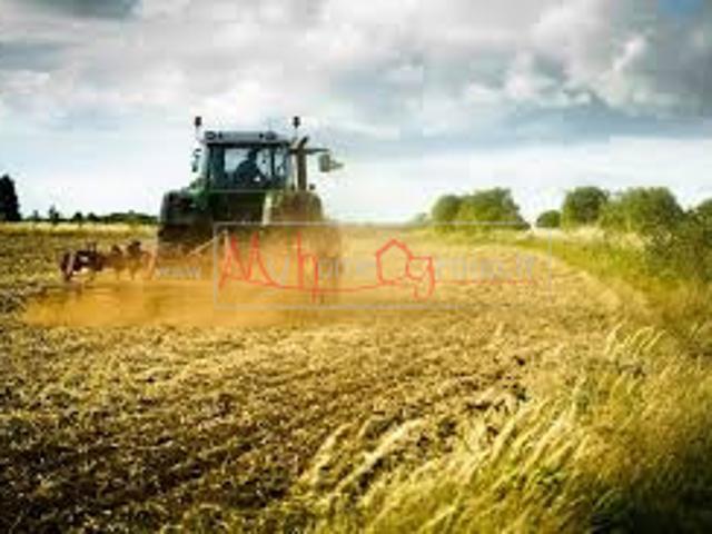 Terreno agricolo in Vendita a Selvazzano Dentro