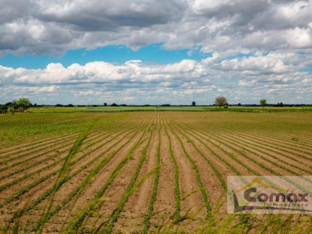 Terreno agricolo in Vendita a Selvazzano Dentro
