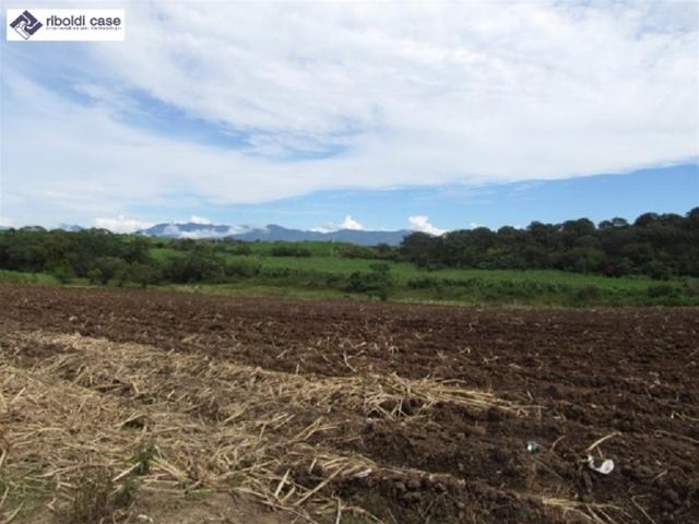 TERRENO AGRICOLO in VENDITA a SEREGNO
