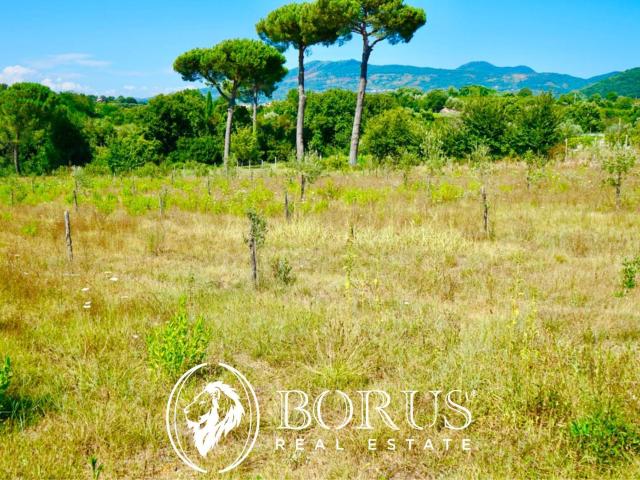 Terreno Agricolo in vendita a Sessa Aurunca