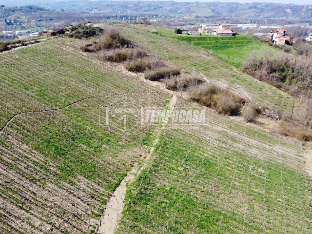 Terreno agricolo in vendita a Lerma